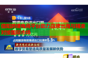 信陽跨境電商平臺助力品牌出海與精準對接國際市場